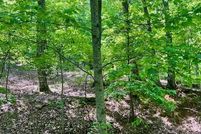 Property for sale in Dawson County, Georgia