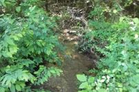 Undeveloped Land for sale in Polk County, Arkansas
