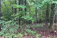 Undeveloped Land for sale in Paulding County, Georgia