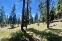 Property for sale in Plumas County, California