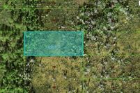 Undeveloped Land for sale in Polk County, Florida