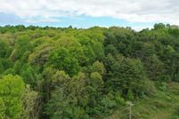 Undeveloped Land for sale in Carroll County, Virginia