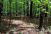 Undeveloped Land for sale in Catoosa County, Georgia