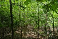 Property for sale in Cherokee County, North Carolina