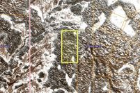 Property for sale in Matanuska-Susitna Borough, Alaska