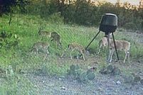 Property for sale in Brown County, Texas