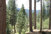 Property for sale in Plumas County, California