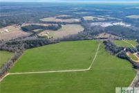 Undeveloped Land for sale in Bulloch County, Georgia