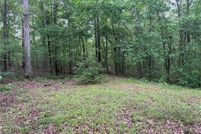Undeveloped Land for sale in Lee County, Alabama