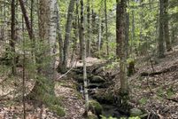 Undeveloped Land for sale in Windsor County, Vermont