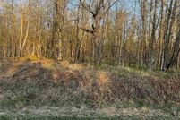 Undeveloped Land for sale in Aitkin County, Minnesota