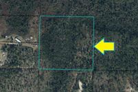 Undeveloped Land for sale in Calhoun County, Florida