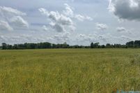 Property for sale in Lauderdale County, Alabama