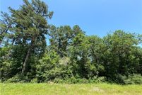 Undeveloped Land for sale in Leon County, Texas