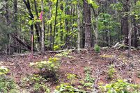 Undeveloped Land for sale in Buckingham County, Virginia