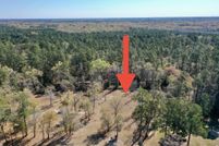 Undeveloped Land for sale in Marion County, South Carolina