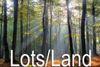 Undeveloped Land for sale in Charles City County, Virginia