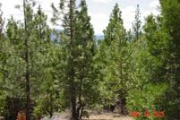 Property for sale in Plumas County, California