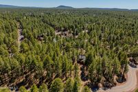 Property for sale in Navajo County, Arizona