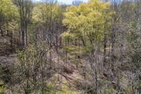 Farm Property for sale in Lincoln County, West Virginia