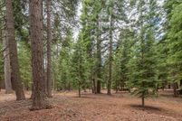 Undeveloped Land for sale in Nevada County, California