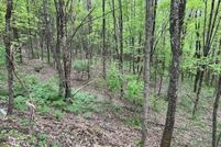 Undeveloped Land for sale in Randolph County, West Virginia
