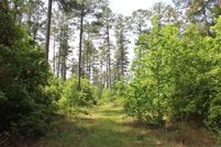 Property for sale in Nevada County, Arkansas