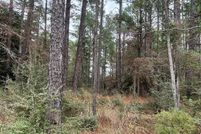 Undeveloped Land for sale in Jasper County, Texas