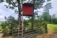 Undeveloped Land for sale in Montgomery County, Arkansas