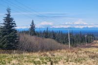 Undeveloped Land for sale in Kenai Peninsula Borough, Alaska