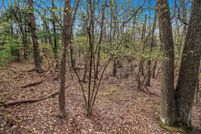 Undeveloped Land for sale in Oceana County, Michigan