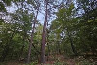 Undeveloped Land for sale in Cherokee County, Oklahoma