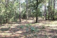 Undeveloped Land for sale in Mobile County, Alabama