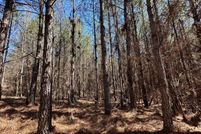 Property for sale in Prentiss County, Mississippi