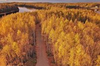 Undeveloped Land for sale in Matanuska-Susitna Borough, Alaska