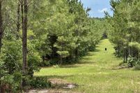 Undeveloped Land for sale in Dodge County, Georgia