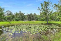 Undeveloped Land for sale in Taylor County, Florida