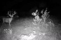 Property for sale in Comanche County, Texas