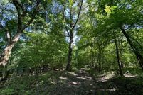 Undeveloped Land for sale in Webster County, Kentucky