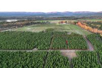 Undeveloped Land for sale in Polk County, Arkansas