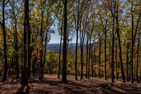 Undeveloped Land for sale in Pickens County, Georgia