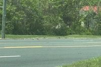 Undeveloped Land for sale in Accomack County, Virginia