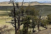 Property for sale in Park County, Colorado