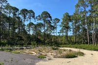 Undeveloped Land for sale in Levy County, Florida