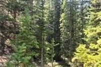 Property for sale in Park County, Colorado