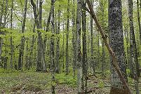 Property for sale in Houghton County, Michigan