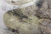 Undeveloped Land for sale in White County, Arkansas