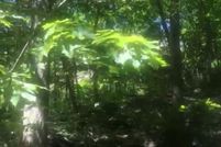 Undeveloped Land for sale in Orange County, New York