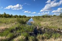 Undeveloped Land for sale in Lake of the Woods County, Minnesota