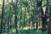 Undeveloped Land for sale in Linn County, Kansas